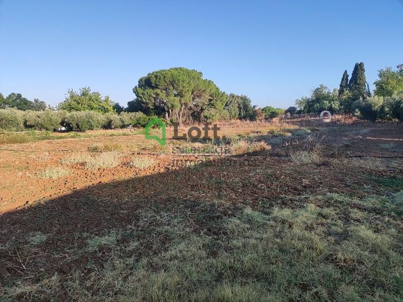 Foto d205102c-085d-425a-af9c-d57c3935ddf4. Finca rústica a pedanías de Badajoz Badajoz