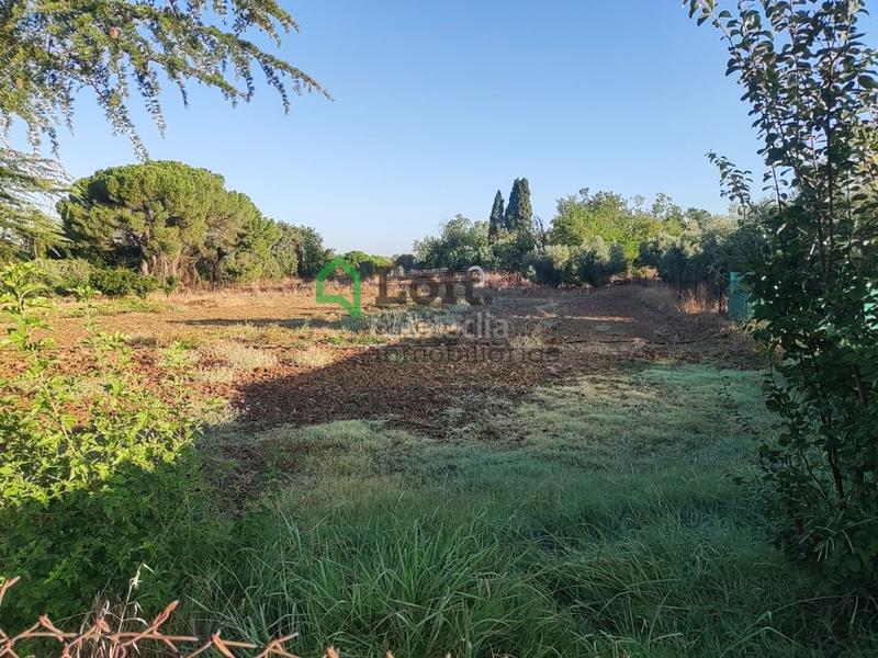 Foto ed5215eb-bc6d-4223-ad95-9084d1595432. Finca rústica a pedanías de Badajoz Badajoz