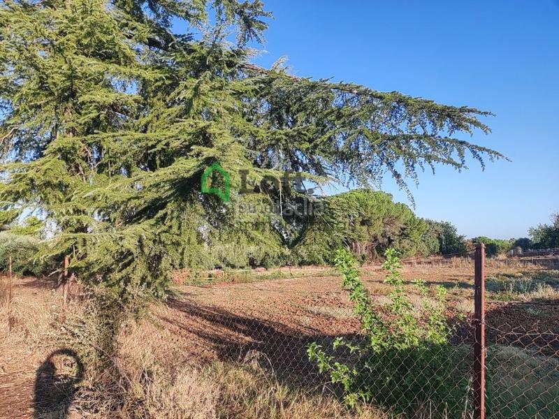 Foto f8c4e378-46d5-4381-8497-01d2919ea45c. Finca rústica a pedanías de Badajoz Badajoz