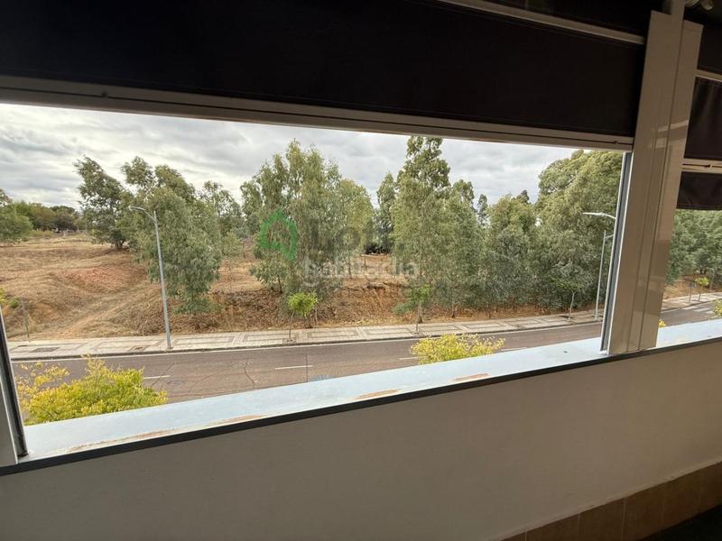 Foto 155ec3d7-f951-4c90-a85d-58559762c82a. Piso exclusiva vivienda en la pilara en Carretera de Sevilla - Los Montitos Badajoz