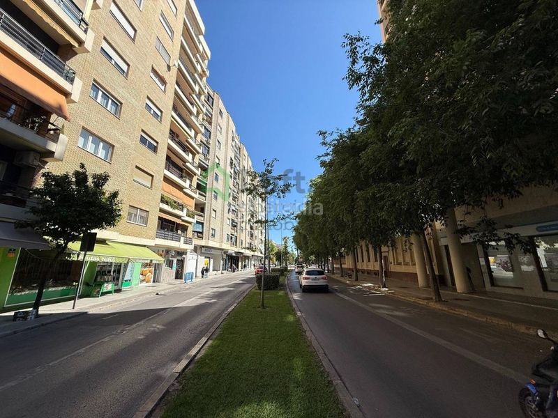Foto 0eef16c9-dcc0-4367-af06-e12d73dc1e4a. Pis a Santa Marina Badajoz