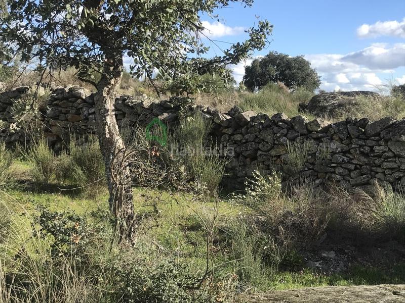 Foto 2be8a3a8-1a78-4cad-b8d1-eb5abc0c89f5. Casa a San Vicente de Alcántara