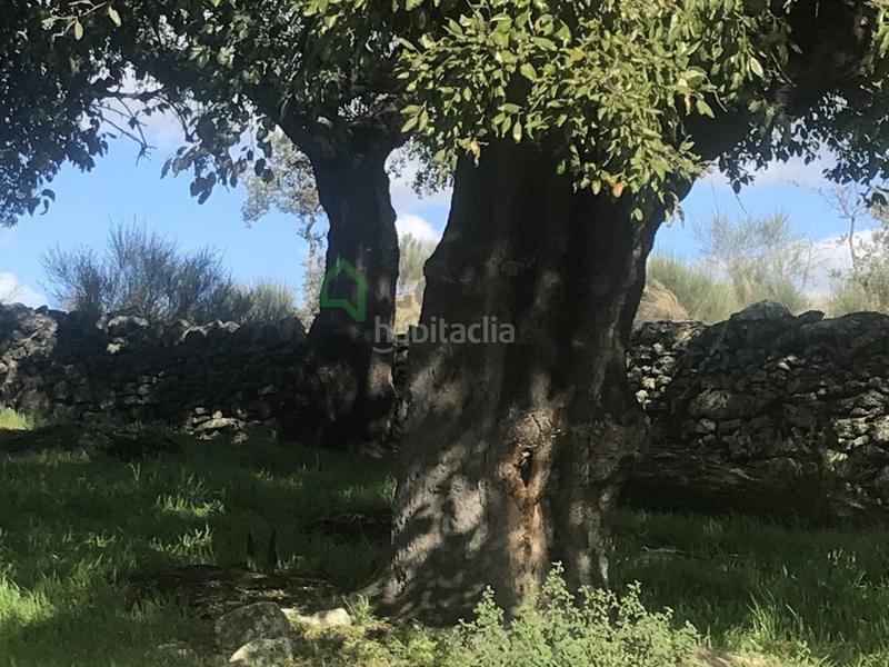 Foto 36b7d03f-6e1e-4d56-ae88-9ba17bc11665. Casa a San Vicente de Alcántara