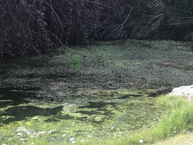 Foto f5055172-63fd-421b-9ea3-95aeccdc6a07. Casa a San Vicente de Alcántara