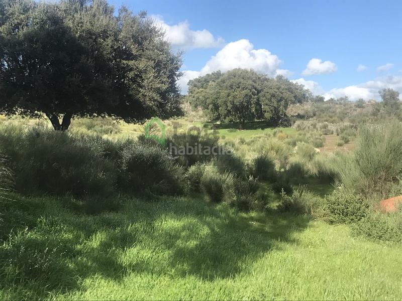 Foto fc546caa-025b-4a88-b26e-a1ccd54bacfc. Casa a San Vicente de Alcántara