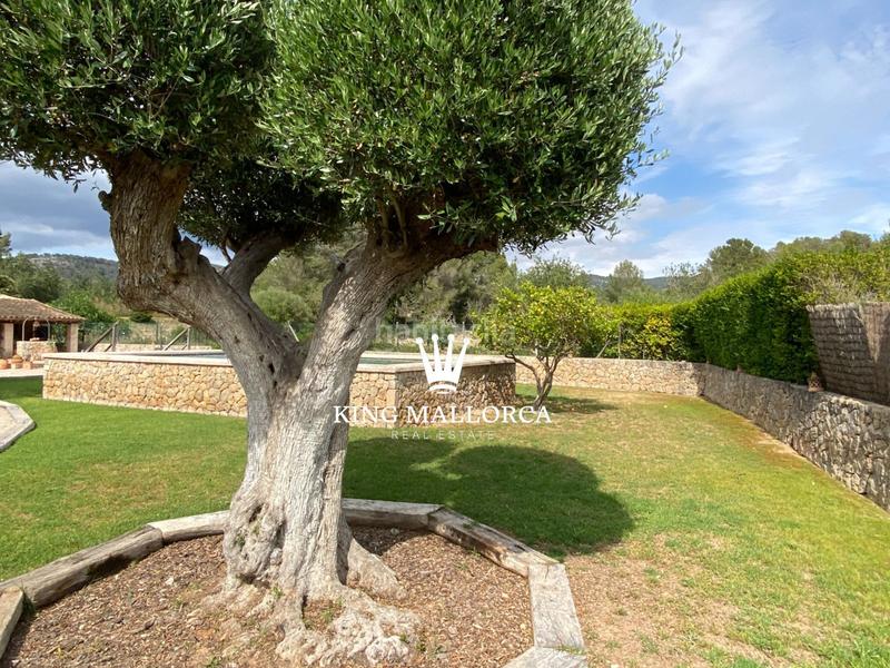 Foto 4f0dd526-f426-418d-92c4-e25b7b20aba5. Maison avec chauffage piscine dans Calvià poble Calvià