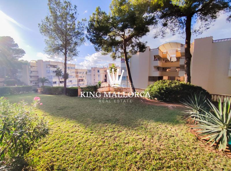 Foto 7f4e8a21-b9d8-4379-8680-1351ebdf1bb9. Apartment with heating pool in Costa de la Calma Calvià