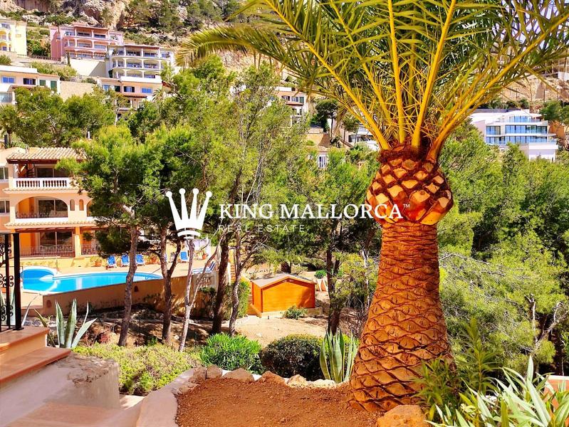 Foto 146f84f8-aecd-4ecd-9097-a202486cd4d8. Location appartement dans ropit 11 dans port d´Andratx Andratx