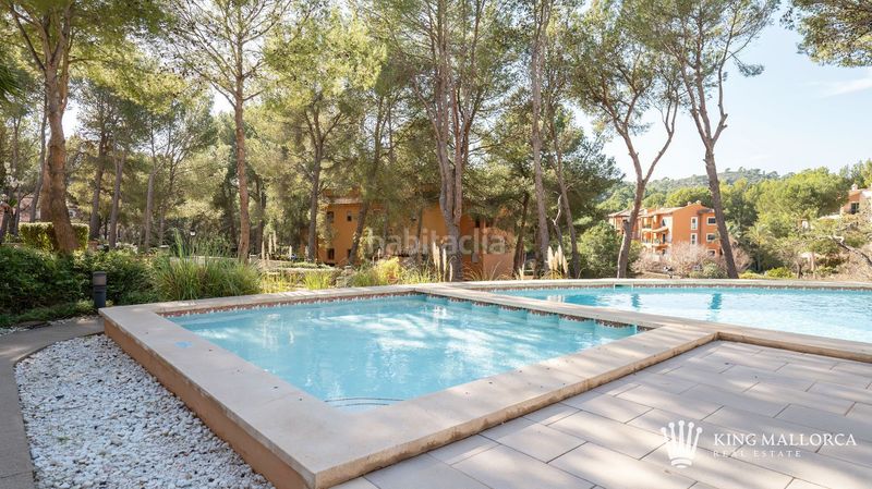 Foto 46aeb394-7fa0-4efe-b949-da1297b843d5. Location appartement dans cala fornells 56 dans Peguera Calvià
