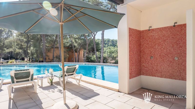 Foto 4e0d8389-fba5-4983-8cb9-dcea9163238e. Location appartement dans cala fornells 56 dans Peguera Calvià