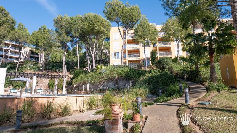 Foto 6bd20785-e4e8-4d38-8371-3b9c87372a4e. Location appartement dans cala fornells 56 dans Peguera Calvià