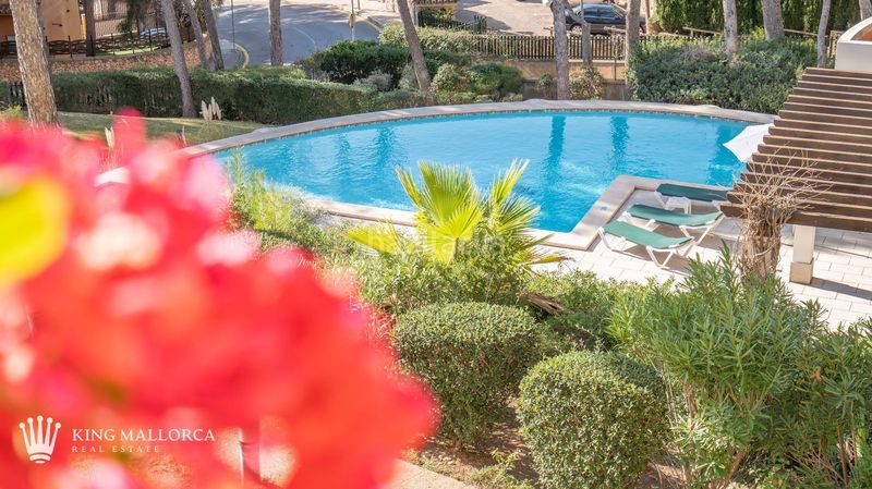 Foto 720fc08c-a49b-4221-beb1-56d0d1794903. Location appartement dans cala fornells 56 dans Peguera Calvià