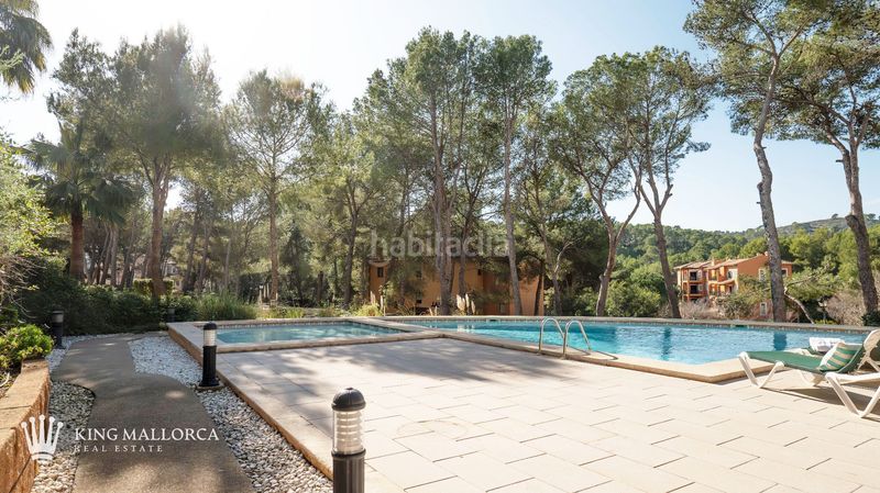 Foto a3db5a6d-dca0-42fb-a6d4-7bf87d16ffce. Location appartement dans cala fornells 56 dans Peguera Calvià
