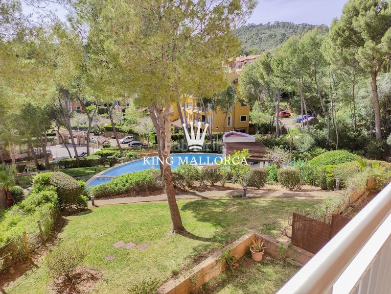 Foto ba3e9096-48df-4772-b67c-eda5fa7c5288. Location appartement dans cala fornells 56 dans Peguera Calvià