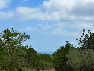 Finca rústica a Perelló (El). En el perelló