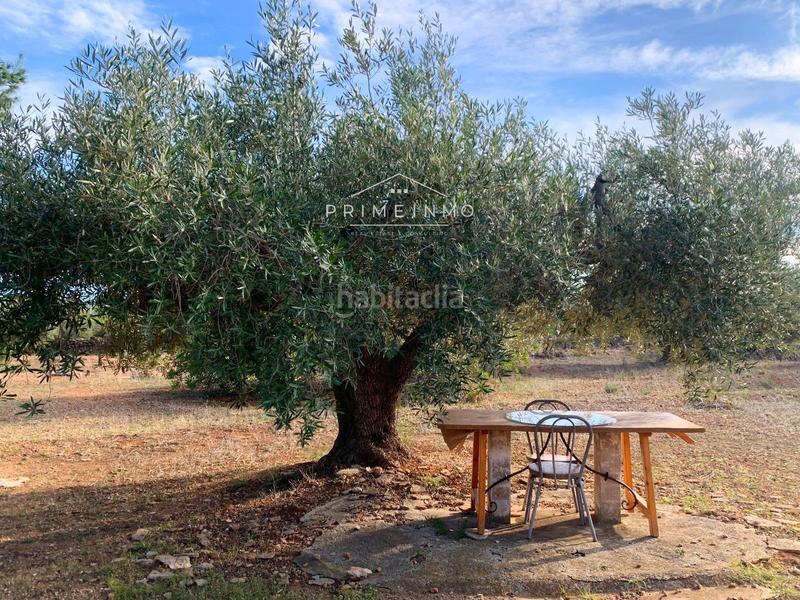 Foto a8ad25e0-ffb1-446a-ac4f-a6610f406501. Mas dans L´Ametlla de Mar Ametlla de Mar (L´)