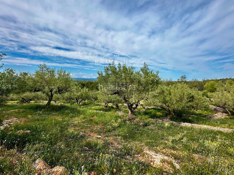 Foto 2406c7af-4ea6-4be2-b297-d2a3934c7651. Masia amb calefacció a Perelló (El)