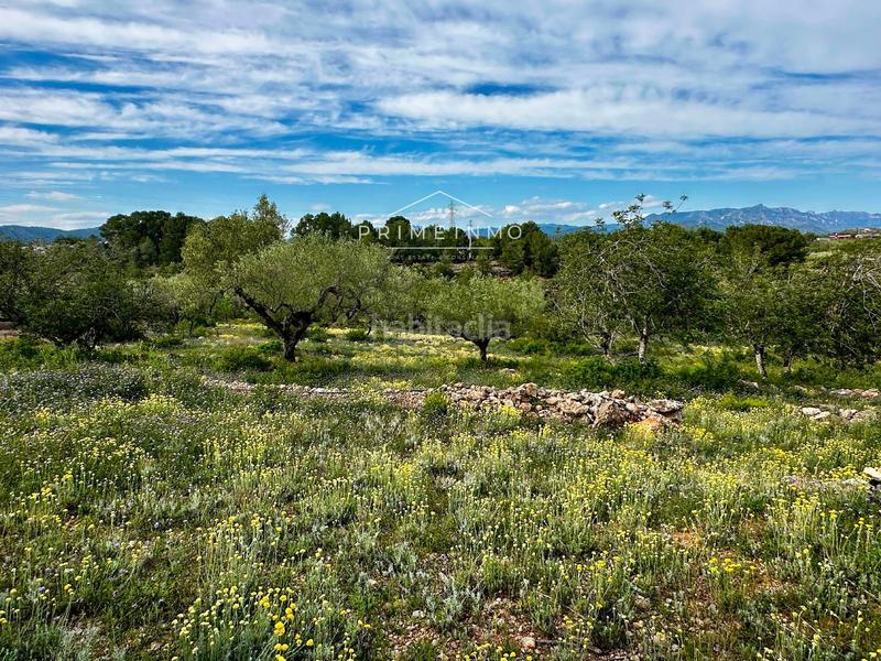 Foto 6a87f0af-709c-4b0e-a85b-010b46a92ee0. Masia amb calefacció a Perelló (El)