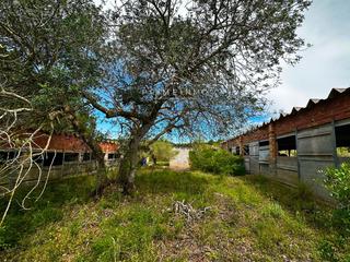 Finca rústica a Tivissa. En lametlla de mar