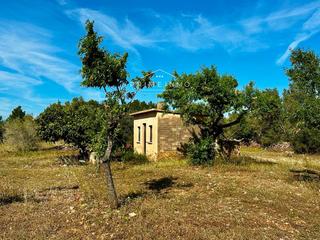 Rural plot in L´Ametlla de Mar. En lametlla de mar