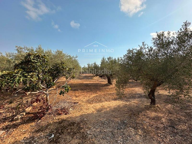 Foto 264da827-b2a0-42a9-97d7-3872b58fe142. Residential plot in Ampolla (L´)