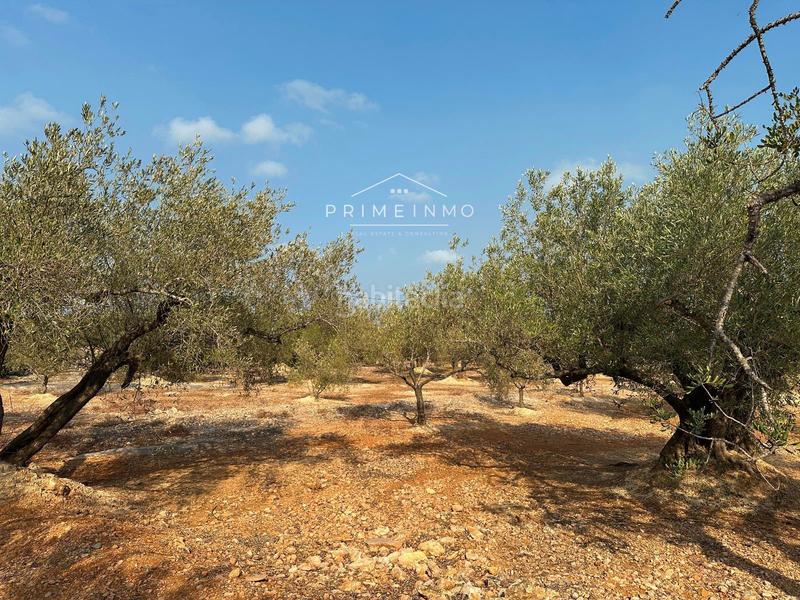 Foto 290b5d98-fd17-4b1a-9ccc-c907c43a0adc. Residential plot in Ampolla (L´)