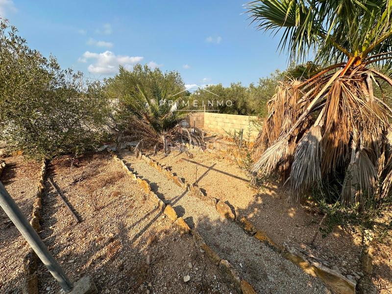 Foto 37d288e4-6599-4e47-b09d-4168e35e998f. Residential plot in Ampolla (L´)