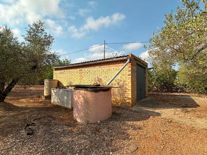 Foto 43c92352-e16c-400d-ac1d-e55ab0e94203. Residential plot in Ampolla (L´)