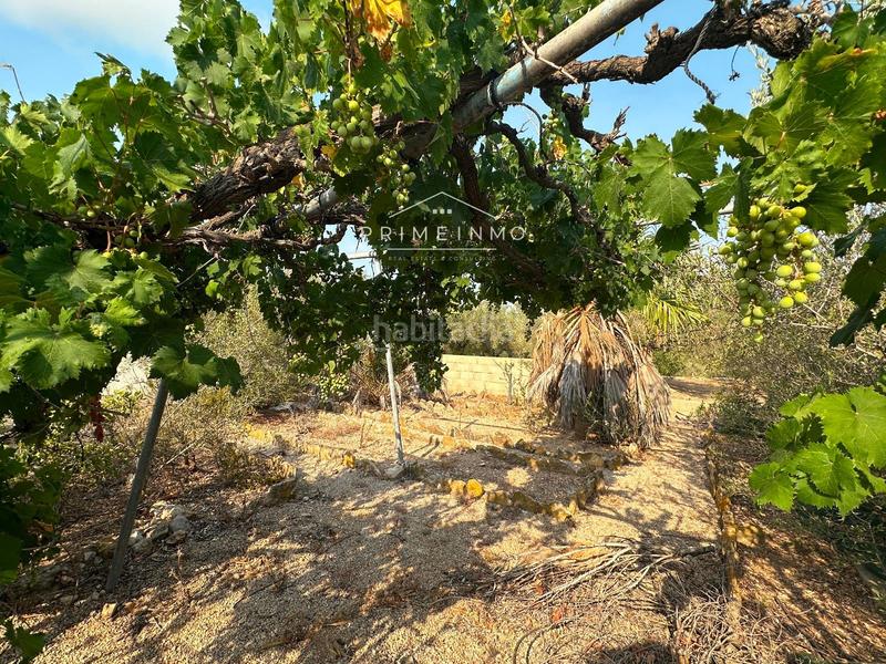 Foto 43ff07d9-a168-4e9b-a82c-f3f3a4919b05. Residential plot in Ampolla (L´)