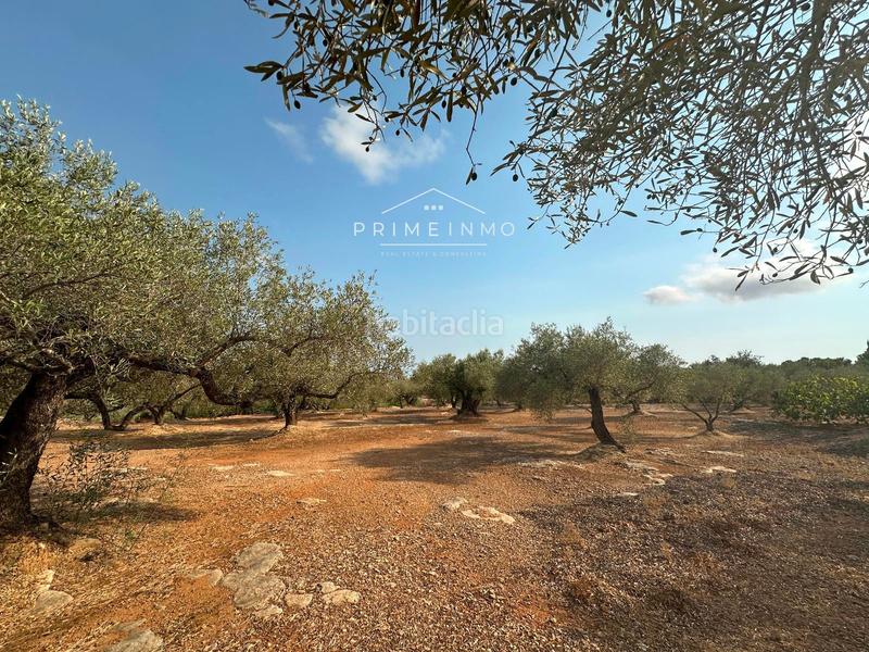 Foto 6bf3b8e4-8a68-4745-8ecf-4b09797d7d8f. Residential plot in Ampolla (L´)