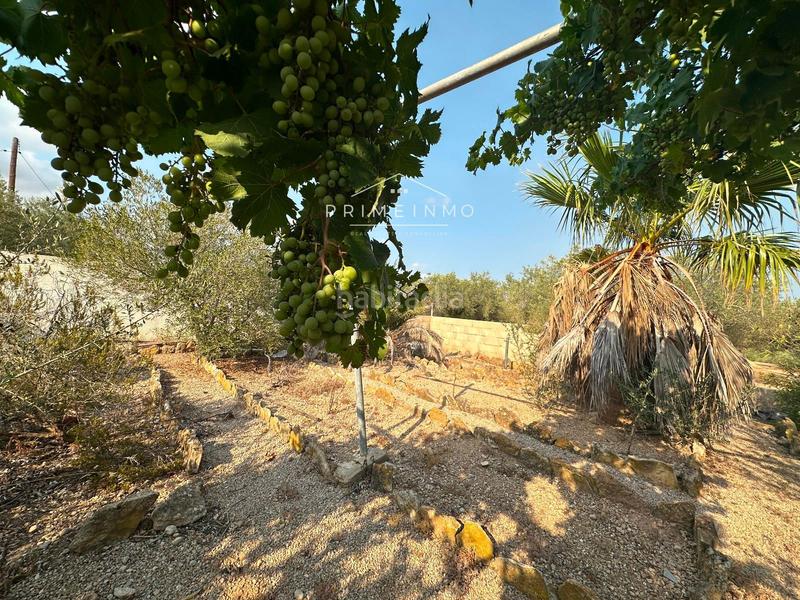 Foto dfcbafcc-0e82-42f6-90c7-c1487b912ce5. Residential plot in Ampolla (L´)