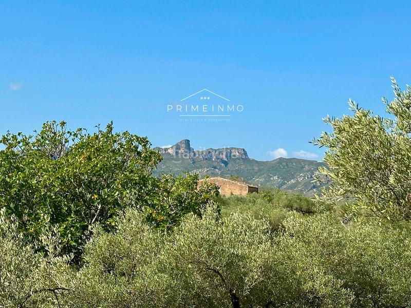 Foto 008aecf6-e380-4a48-8f1e-5ad2524721f6. Masia a Perelló (El)