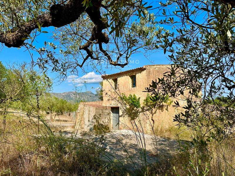 Foto 0c33a74d-88ff-444f-bf9d-785cef6bf7e2. Masia a Perelló (El)