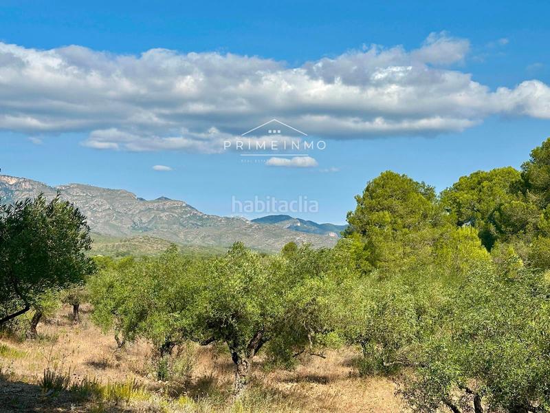 Foto 28435578-34d0-4595-b767-4f2a53484f7d. Masia a Perelló (El)