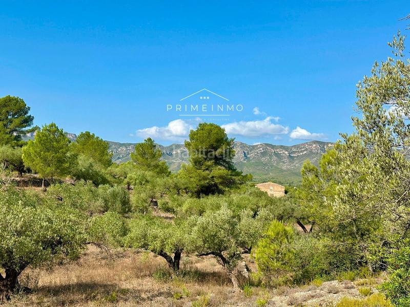 Foto 4209aacb-687a-4602-9a45-425185a49563. Masia a Perelló (El)