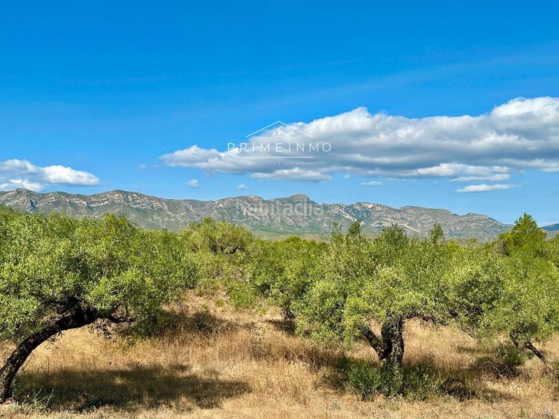 Foto 4801ce7f-5154-4ef0-9806-47cf7a38fff4. Masia a Perelló (El)