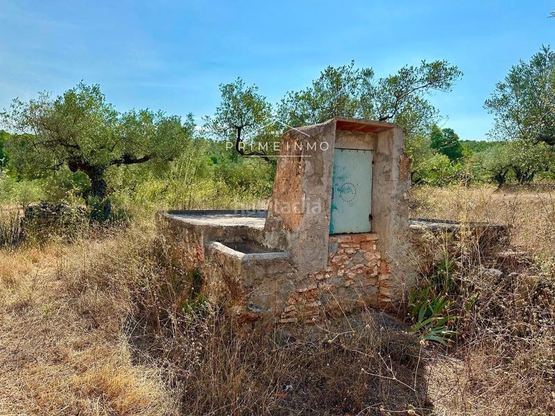 Foto 5c684a0a-f4ad-4fc8-bdb2-483085beffc7. Masia a Perelló (El)