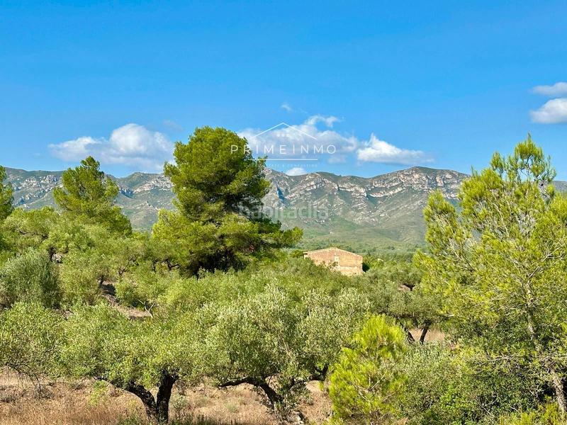 Foto 710c953a-9b80-4e4e-b173-2e8ca099f861. Masia a Perelló (El)