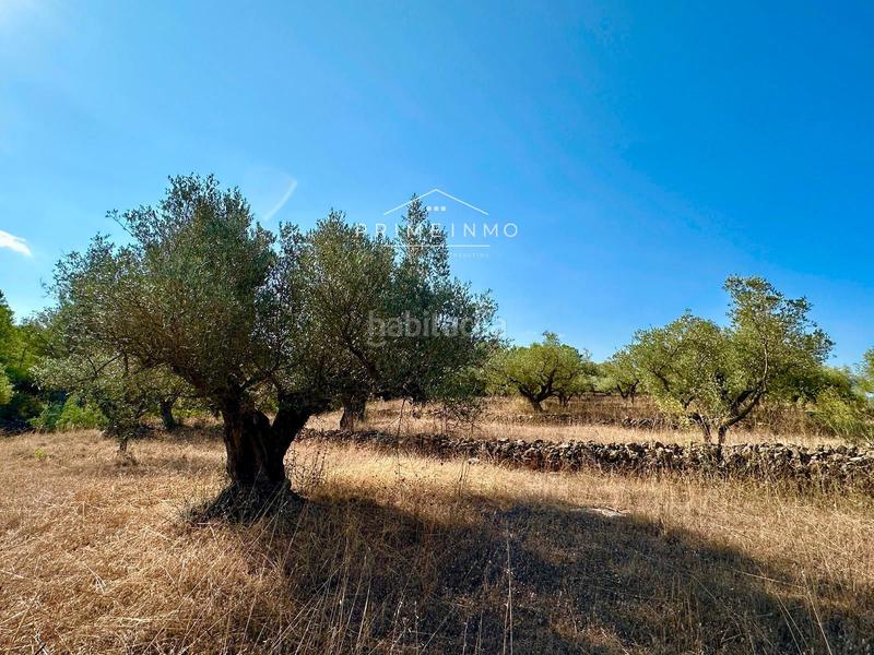 Foto 79ba1895-bb95-4108-b6e6-96551bc5bce1. Masia a Perelló (El)