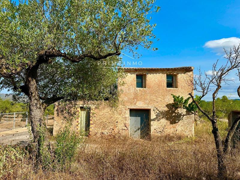 Foto a2413d1c-a7cc-4e1e-9bc3-ba32f6bc7a3a. Masia a Perelló (El)