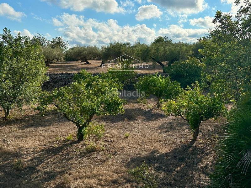 Foto 0314bfd1-fdbf-4a03-bb32-5a5cf5e02240. Masia amb aparcament piscina a Perelló (El)