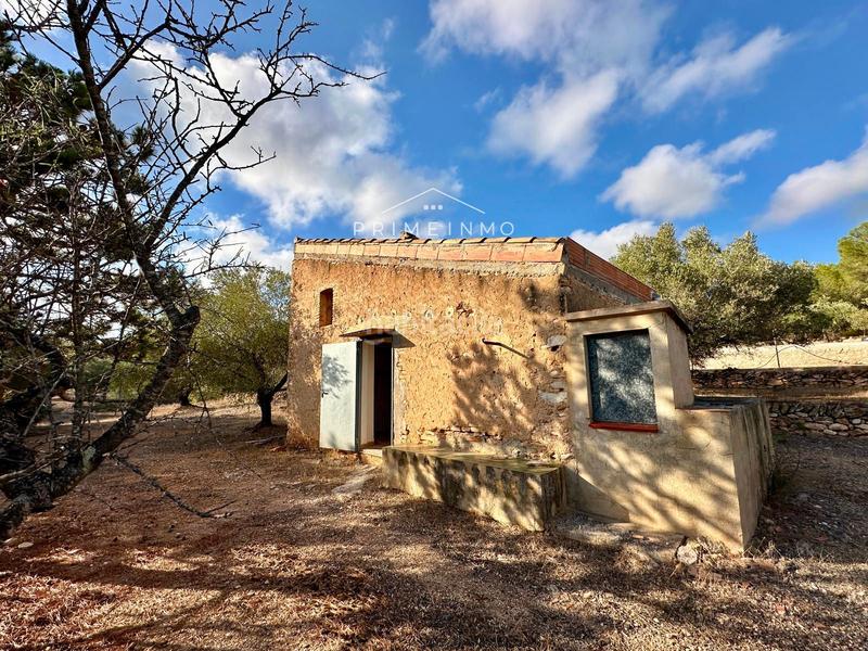 Foto 41e5a5cc-3235-4359-83fc-6626716f1820. Masia amb aparcament piscina a Perelló (El)