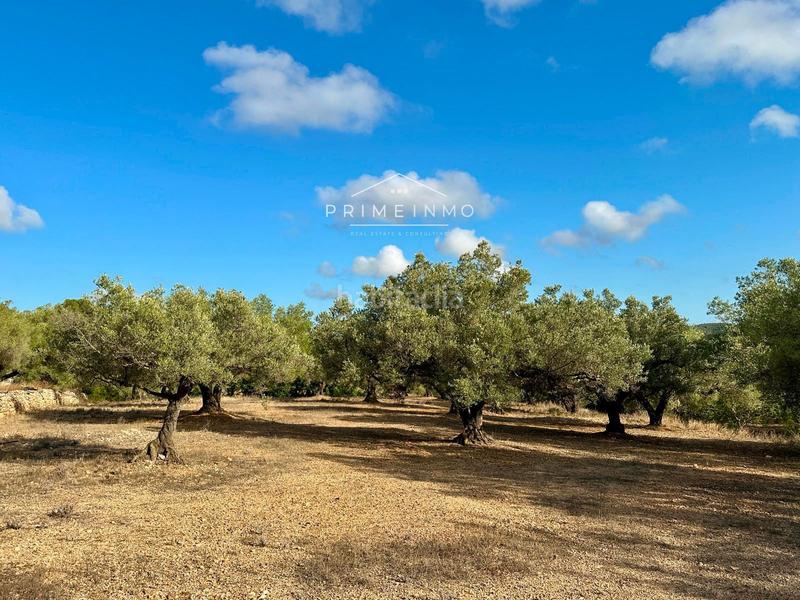 Foto 55f6fdb5-09f7-4aa5-97a7-61a060c91b4b. Masia amb aparcament piscina a Perelló (El)