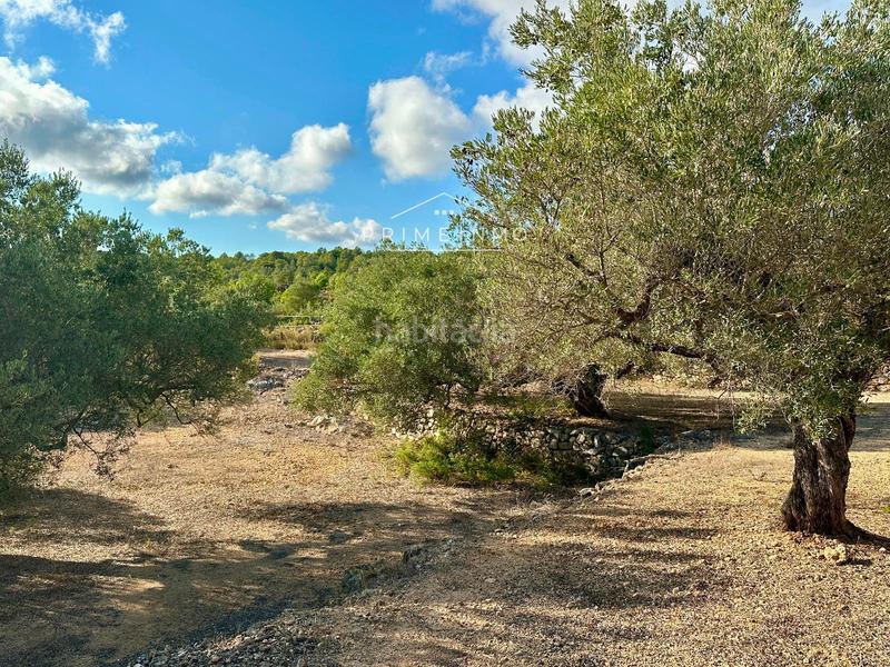 Foto cf9d9412-4838-45ae-bb57-430e7adfb39d. Masia amb aparcament piscina a Perelló (El)