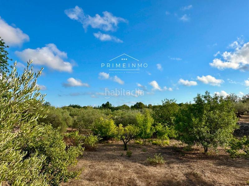 Foto da57280f-a771-4e6b-bd3d-bbc59eb17674. Masia amb aparcament piscina a Perelló (El)