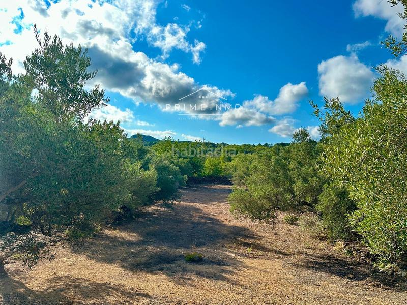 Foto fd304cbe-e67a-41dd-bf69-852823922b66. Masia amb aparcament piscina a Perelló (El)