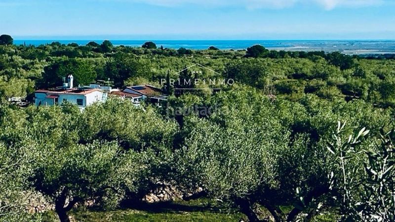 Foto 2d558a0c-6639-42d3-ae53-28f5e46c2802. Masia amb calefacció a Ampolla (L´)
