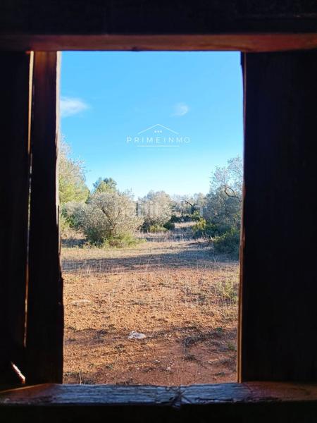 Foto 018270df-0d20-42c0-b24c-ec72c2711c26. Masia a Perelló (El)