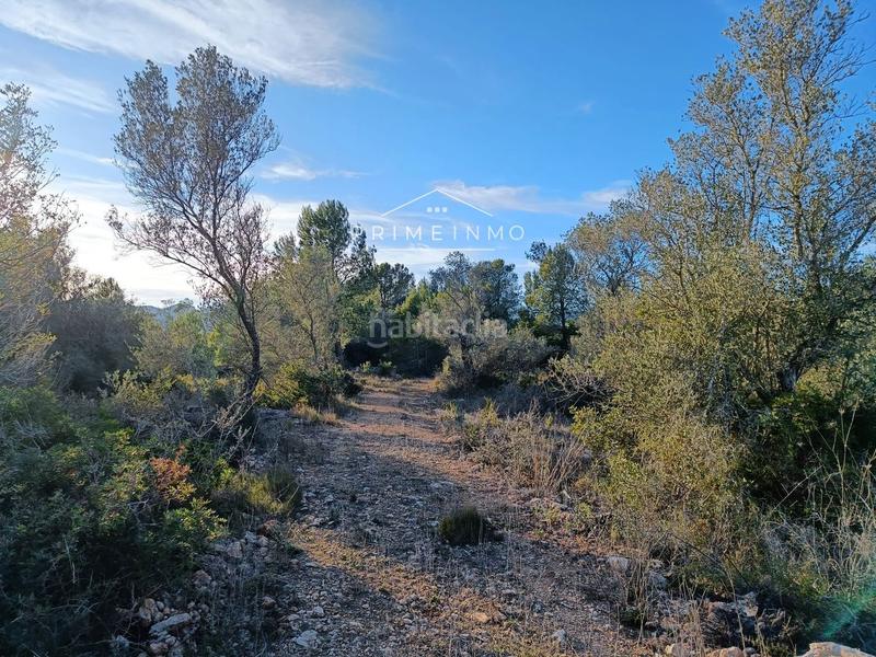 Foto e710614b-f276-4061-a3e2-ee5626e4f539. Masia a Perelló (El)