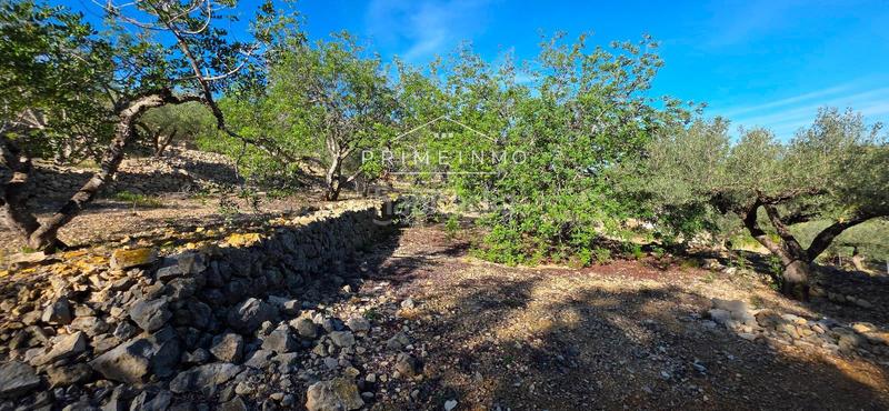 Foto 7faa0acf-0b2b-4840-b441-0ee7d7d60d05. Masia amb calefacció a Perelló (El)